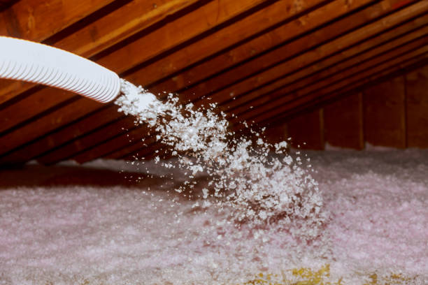 Professional Insulation Contractor in Bowling Green, MD
