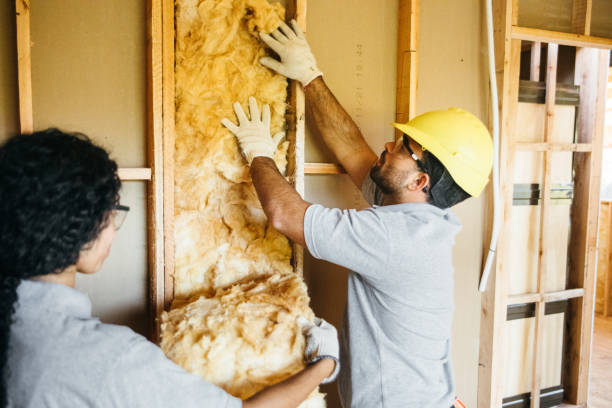 Best Crawl Space Insulation  in Bowling Green, MD